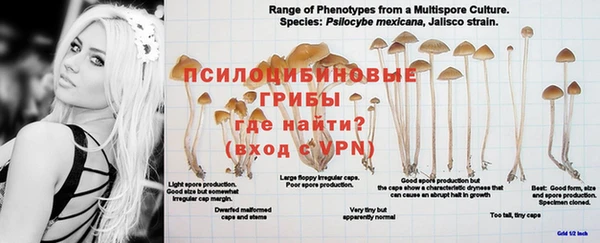 эйфоретик Абаза