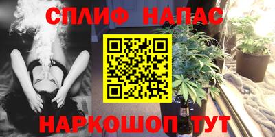 МДПВ Славянск-на-Кубани