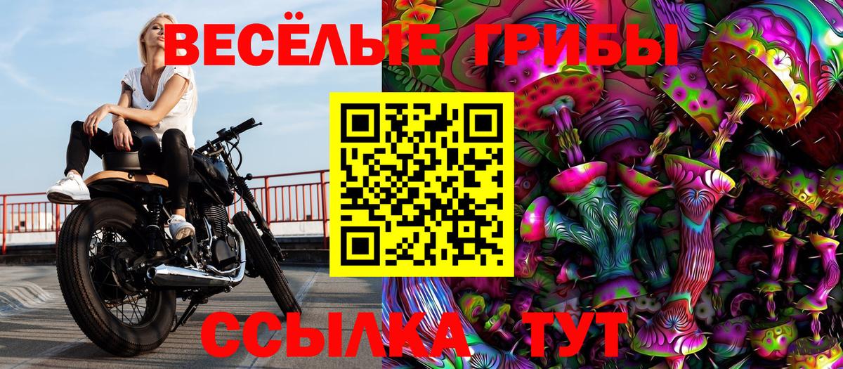 Галлюциногенные грибы MAGIC MUSHROOMS  Вход с VPN  Псилоцибиновые грибы MAGIC MUSHROOMS  Севастополь 