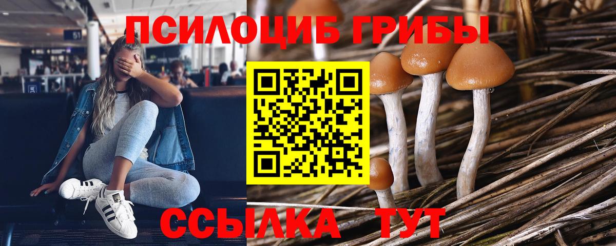 Галлюциногенные грибы прущие грибы Севастополь